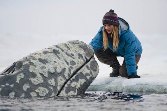 big miracle misiune de salvare drew barrymore